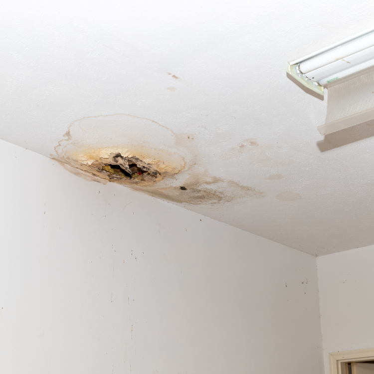 Plumbing services in Keller, TX